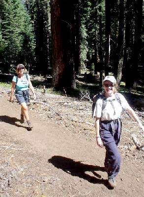 Sequoia National Park '03
