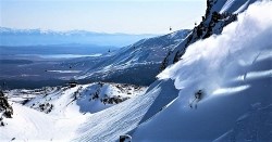 Mammoth '19