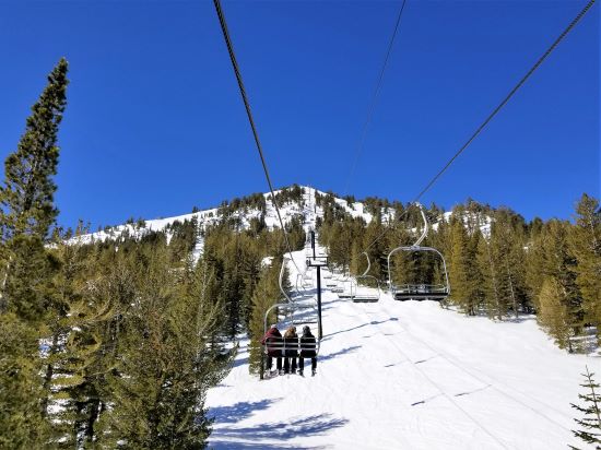 Mammoth '19