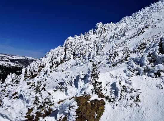 Mammoth '19